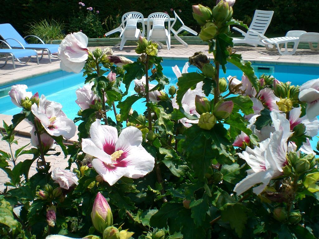 Chambres D'Hotes Le Clos Des Senteurs Malemort Bagian luar foto